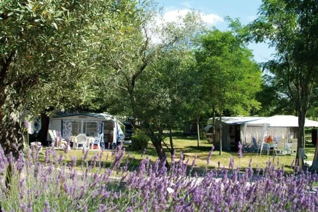 Camping Le Petit Bois Sites et Paysages