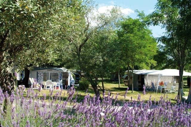 Camping Le Petit Bois Sites et Paysages — Photo 7