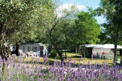 Camping Le Petit Bois Sites et Paysages