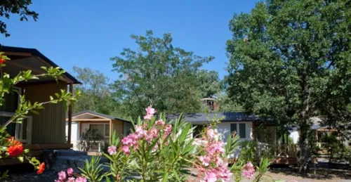 Location - Chalet Confort Cerisier 2Ch - image n°1 - Camping Le Petit Bois Sites et Paysages