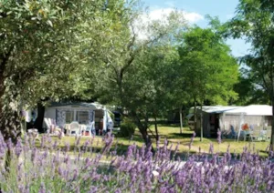  - Pitch CONFORT, vehicle, electricity 10A - Camping Le Petit Bois Sites et Paysages