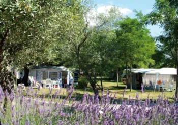 Stellplatz - Stellplatz Confort, Fahrzeug, Strom 10A - Camping Le Petit Bois Sites et Paysages