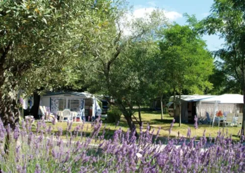 Stellplatz - Stellplatz Confort, Fahrzeug, Strom 10A - image n°1 - Camping Le Petit Bois Sites et Paysages