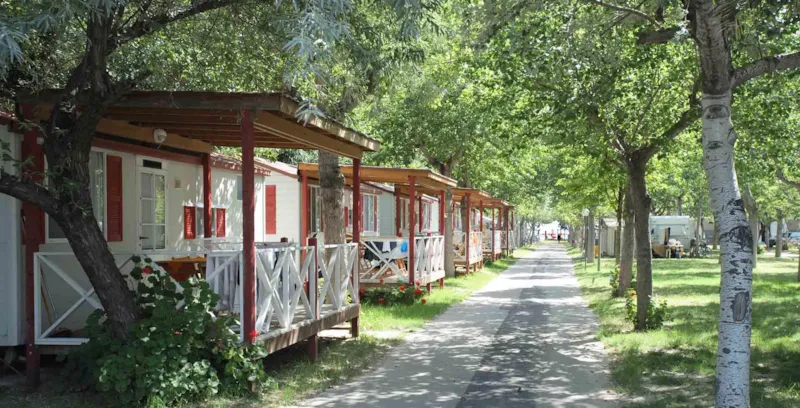 Mobil Home Classic - Dimanche