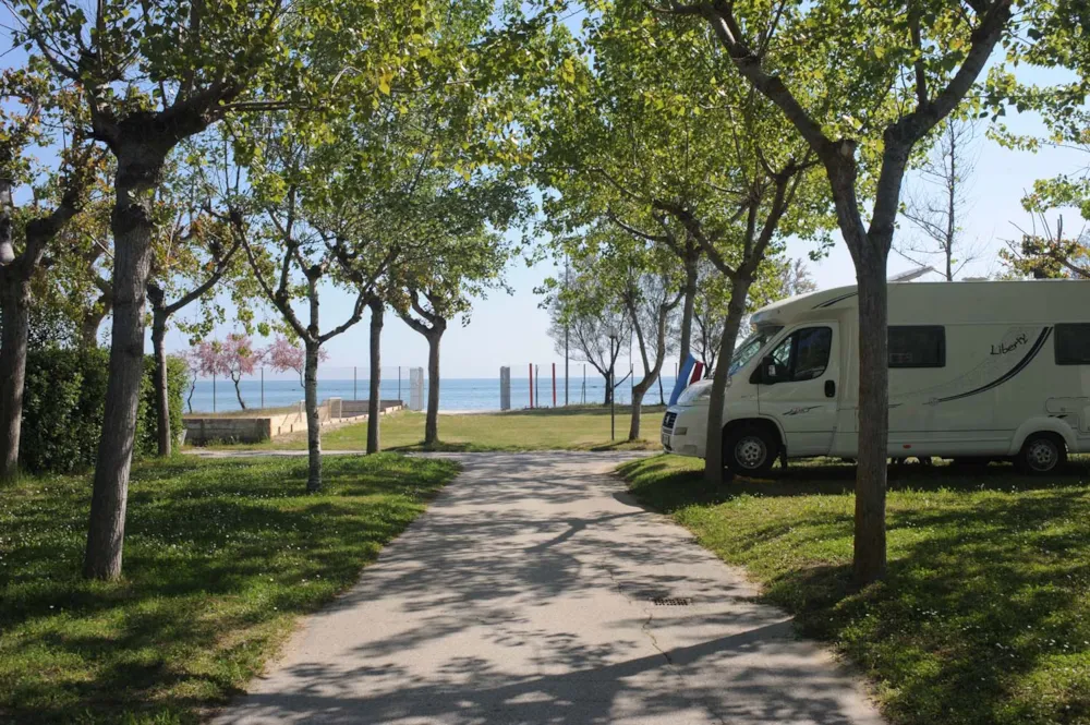 Pitch - Blue Pitch 65Mq In Size Motorhomes/ Caravans, Current 6A (1200 Watt) - Camping Surabaja-La Playa