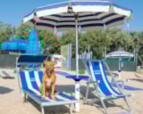 Foto #13 van Camping Surabaja-La Playa