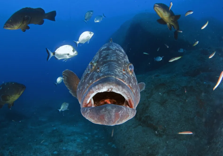 Isola dei Gabbiani - Land of water