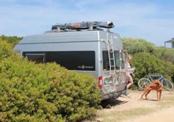 Stellplatz - Stellplatz Wohnmobil < 5.5M + Strom - Isola dei Gabbiani - Land of water