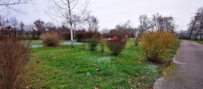 Camping package (pitch, 2 people, 1 vehicle)