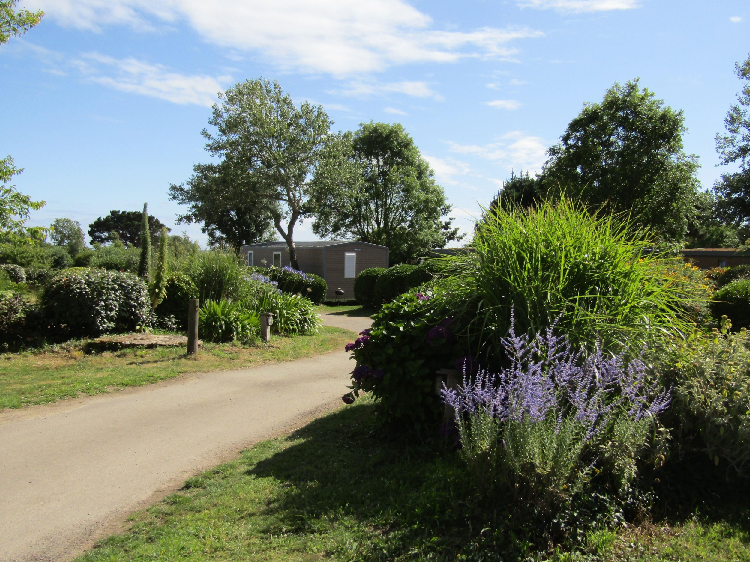 Camping Les Vergers de Squividan — Foto 5