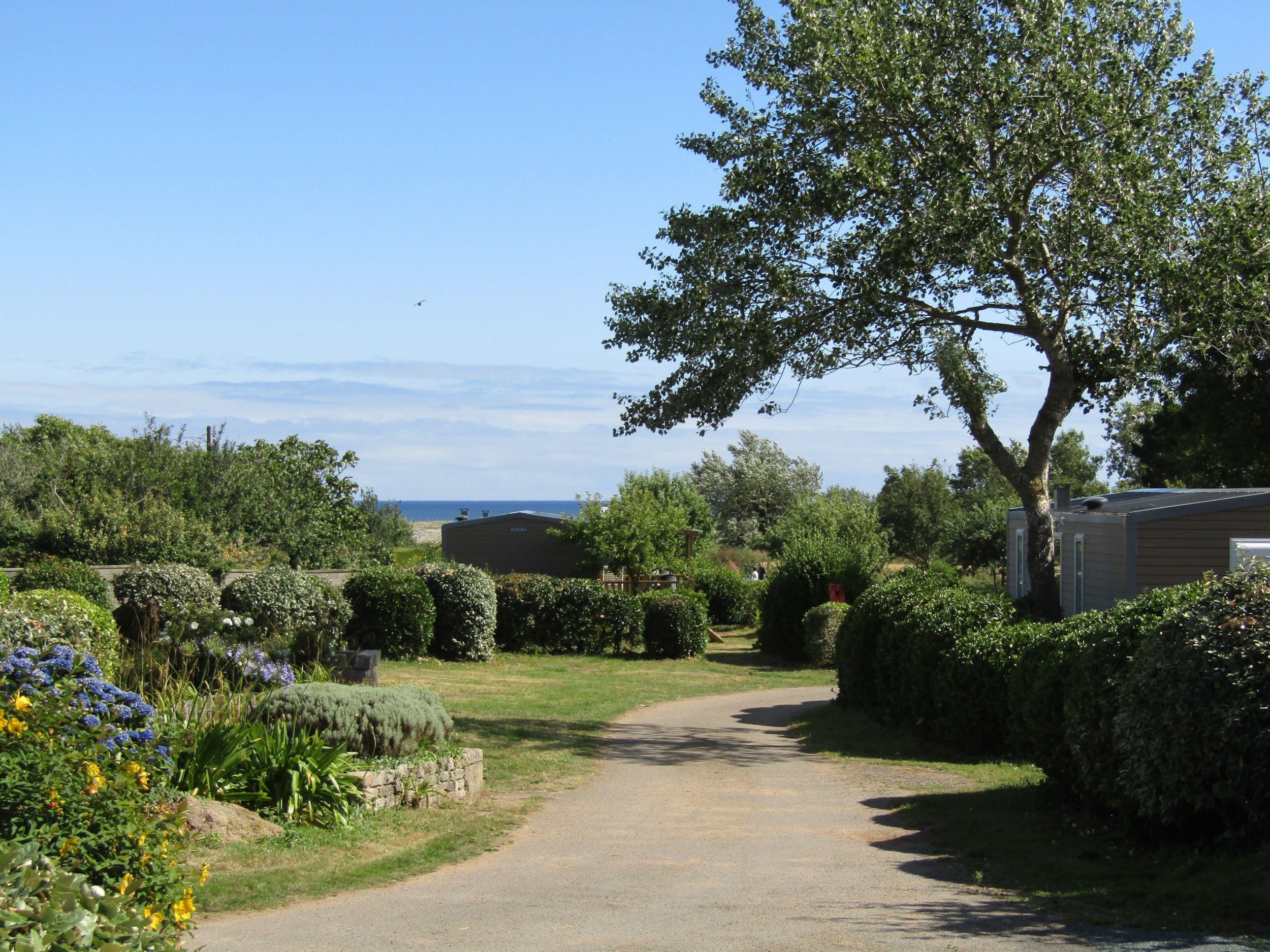 Camping Les Vergers de Squividan — Foto 6