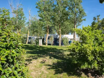 Stellplatz - Standard Stellplatz >100M² +1 Fahrzeug + 10A Strom - Camping Le Serignan Plage Nature