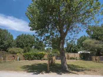 Stellplatz - Plage Clos De La Grangette Stellplatz +/-100M² + 1 Fahrzeug + 10A Strom - Camping Le Serignan Plage Nature