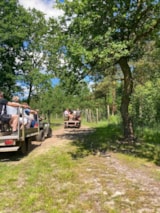 Foto #13 van Himmerland Camping