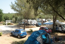 Kampeerplaats(en) - Standplaats Zonder Elektriciteit : 1 Voertuig + Tent - Domaine de la Cigalière
