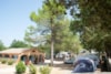 Camping Qualité