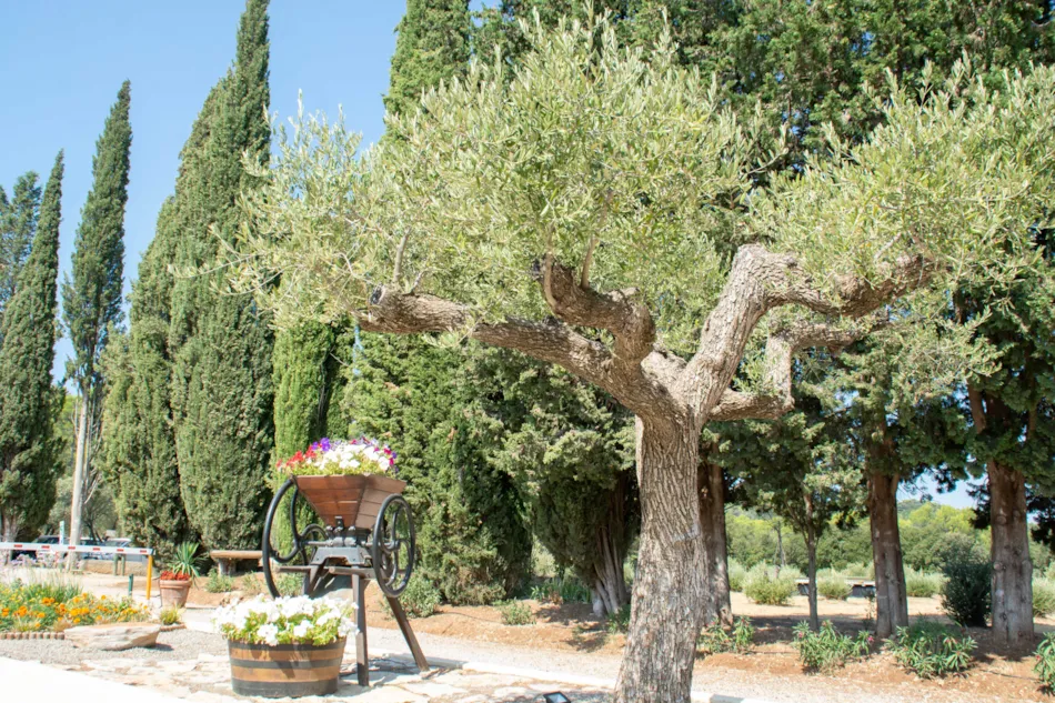 Domaine de la Cigalière