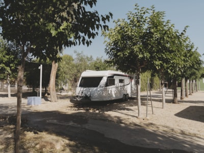 Pitch Plus (TENTS NOT ALLOWED) — 1
