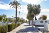 Foto #12 van Wecamp Jávea