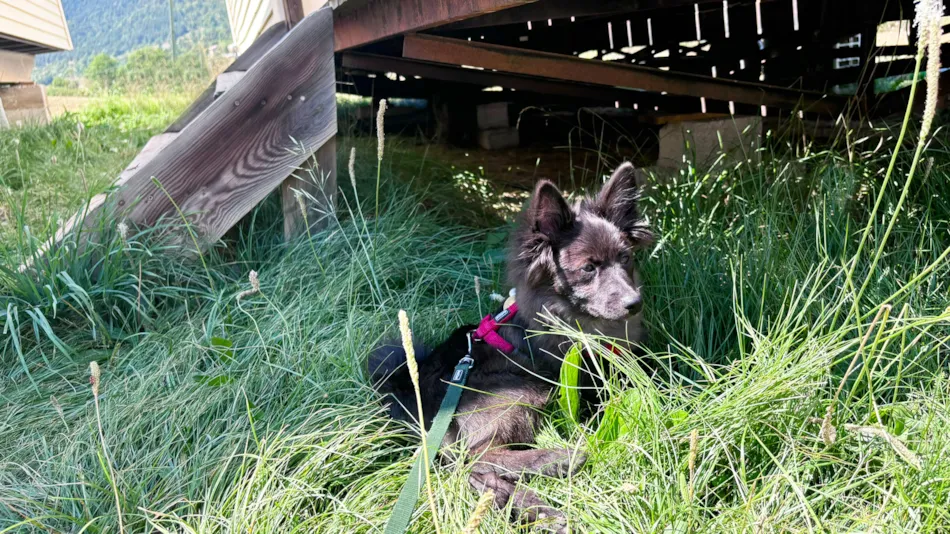 Camping Tikayan La Pinatelle