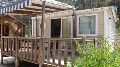 TENNESSY ECO.