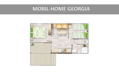 GEORGIA STANDARD.