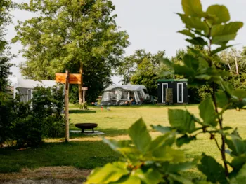Stellplatz - Stellplatz Mit Privaten Sanitäranlagen - - Camping De Tulpenweide