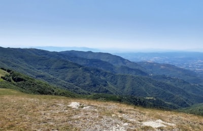 Camping Falterona