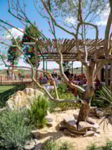 Foto #66 van Yelloh! Village – Le Serignan-Plage