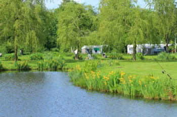 Stellplatz - Campingplatz Komfort - Strom - Cher View - ROMANEE Cochards