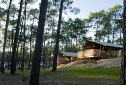 Accommodation - Tent Ciela Nature Lodge 3 Bedrooms - Camping Eurosol
