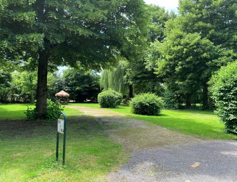 Emplacement Confort Tente Ou Caravane + 1 Voiture + Électricité