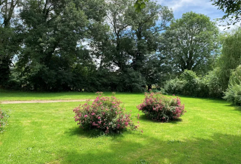 Emplacement Confort Tente Ou Caravane + 1 Voiture + Électricité