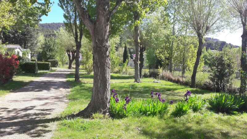 Forfait Standard Emplacement  + Électricité 10A , Tente