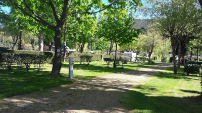 Standard package pitch + 10A electricity, motorhome — 4
