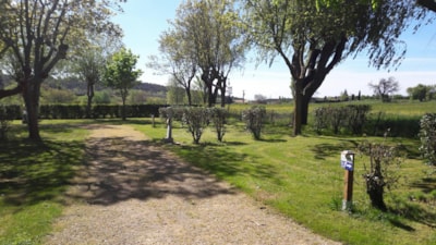 Standard package pitch + 10A electricity, caravan — 3