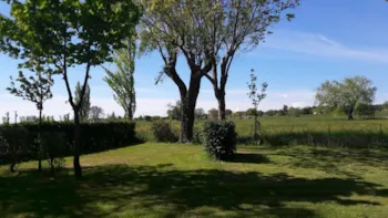 Stellplatz - Forfait Privilège + Électricité 10A, Tente Ou Caravane 2/6 Pers. - Camping L'Oasis du Verdon