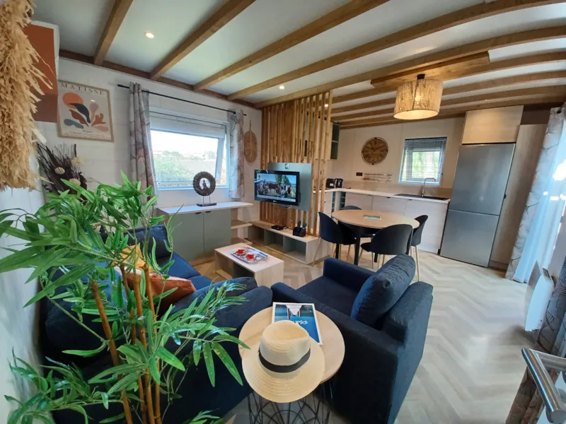 Premium Luxe Climatisé 50 M² Spa / Tv / Lv / Bbq