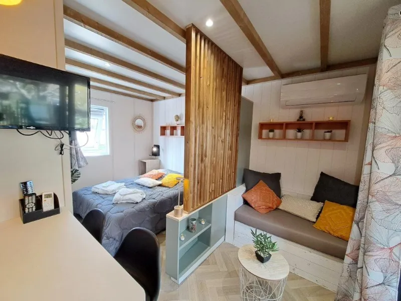 Premium 1 Climatisé 20 M²  Spa / Tv / Bbq