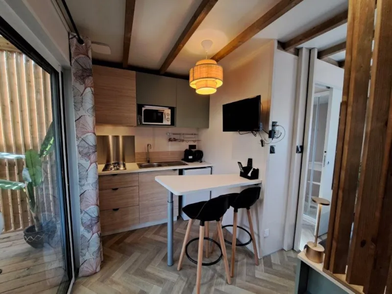 Premium 1 Climatisé 20 M²  Spa / Tv / Bbq