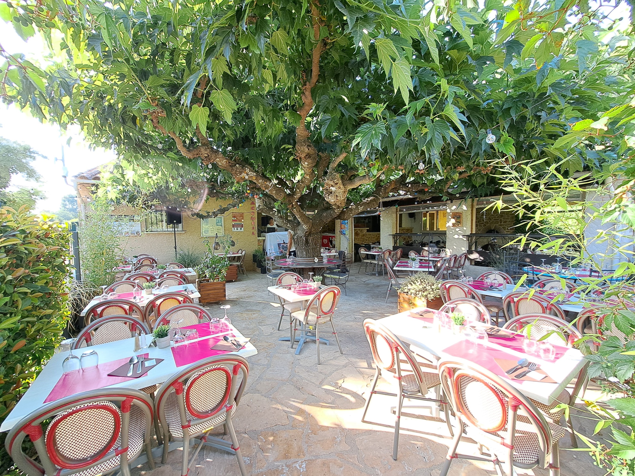 Camping L'Oasis du Verdon — Photo 5
