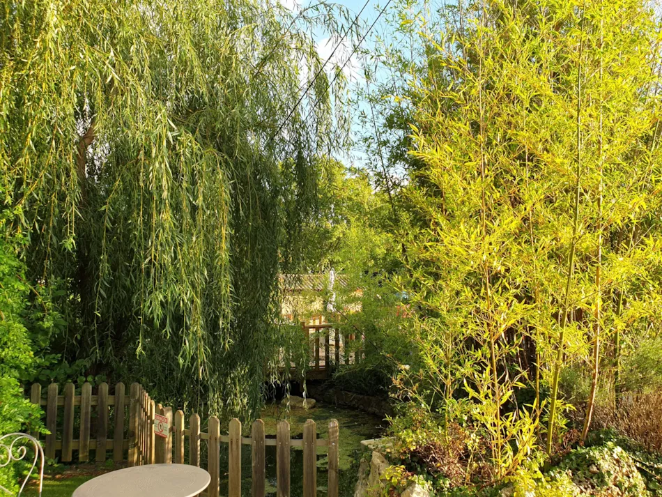 Camping L'Oasis du Verdon