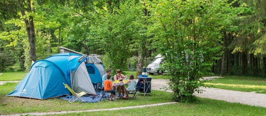 Camping de la Forêt — Photo 6