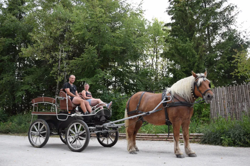Camping de la Forêt