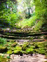 Foto #52 van Camping de la Forêt