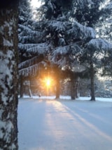 Foto #60 van Camping de la Forêt