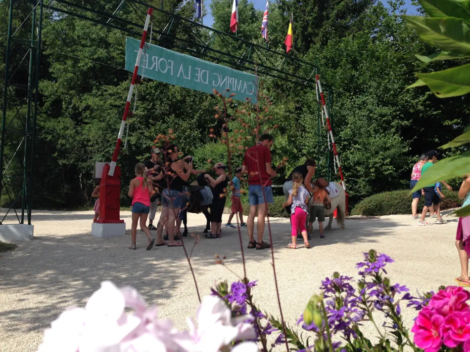 Camping de la Forêt