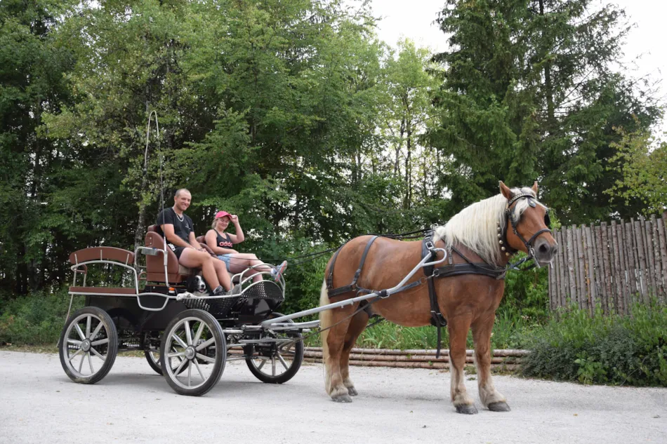 Camping de la Forêt