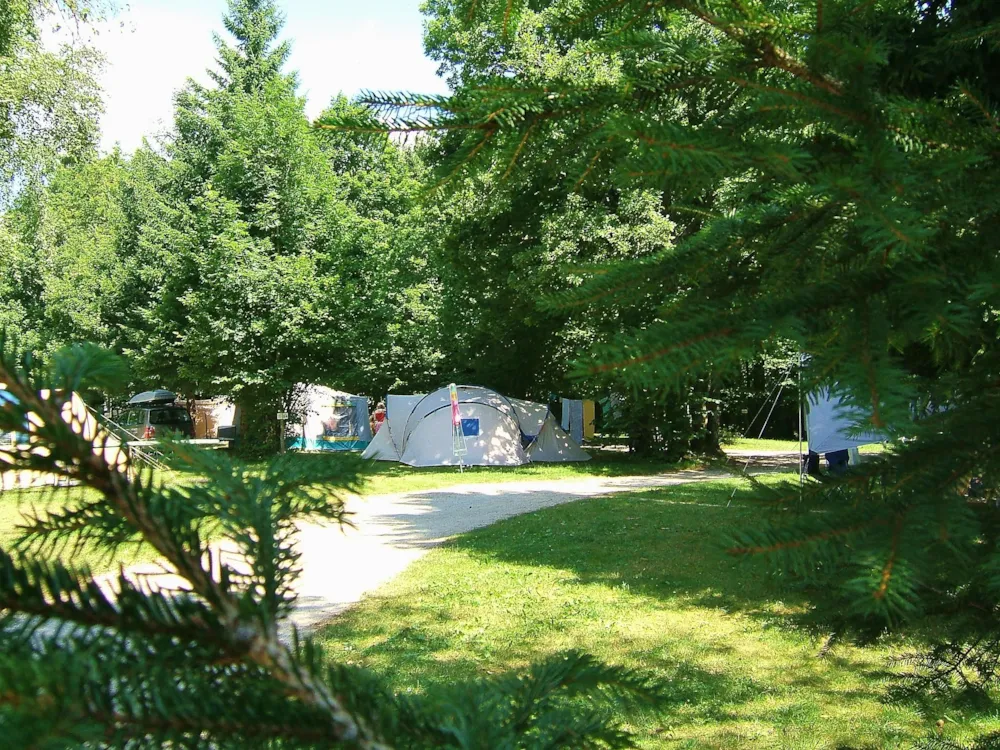 Pitch - Nature Package (2 Pers , 1 Place) Without Electricity - Camping de la Forêt