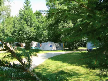 Stellplatz - Stellplatz Nature (1 Zelt, 1 Auto/Motorrad) - Camping de la Forêt